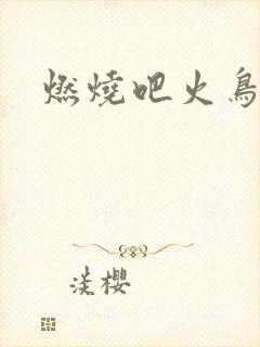 燃烧吧火鸟小说