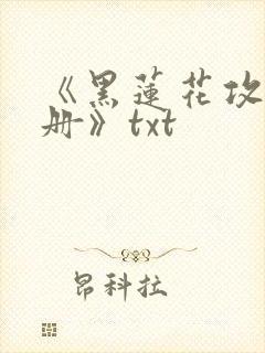 《黑莲花攻略手册》txt