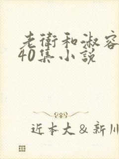 老卫和淑容1-40集小说