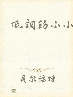 低调的小小宫女