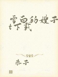 雪白的嫂子txt下载