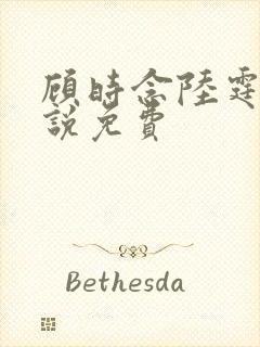 顾时念陆霆骁小说免费