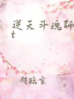 逆天斗魂师txt