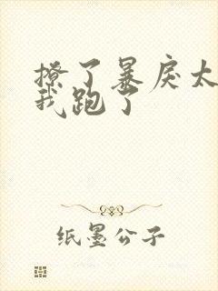 撩了暴戾太子后我跑了