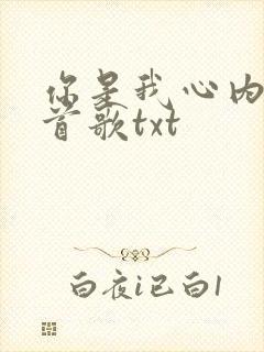 你是我心内的一首歌txt