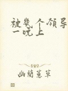 被几个领导玩弄一晚上