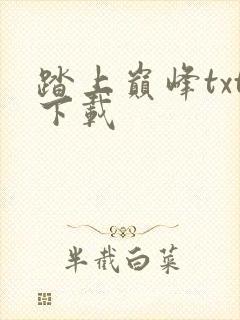 踏上巅峰txt下载