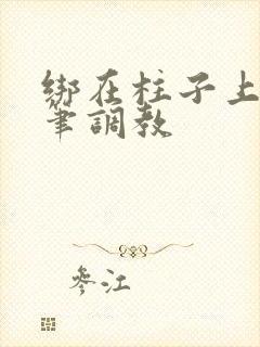 绑在柱子上用毛笔调教