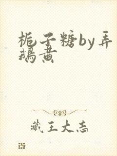 栀子糖by弄白鹅黄