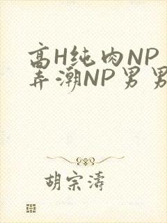 高H纯肉NP 弄潮NP男男