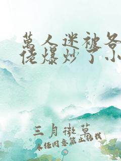 万人迷被各路大佬爆炒了小说