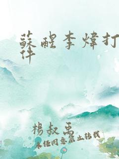 苏醒李炜打架事件