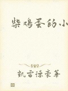 柴鸡蛋的小说