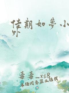 佳期如梦小说番外