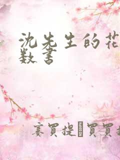 沈先生的花式调数书