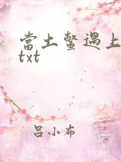 当土鳖遇上海龟txt