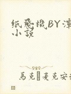 纸飞机BY潭石小说