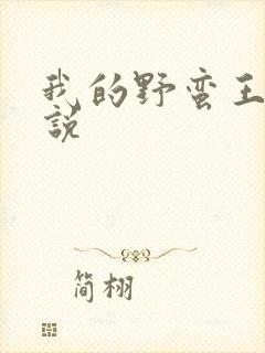 我的野蛮王妃小说