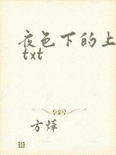 夜色下的上海滩 txt