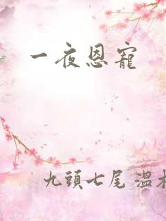 一夜恩宠