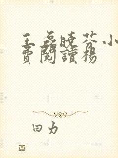 王磊晓芬小说免费阅读杨