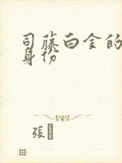 司藤白金的真实身份