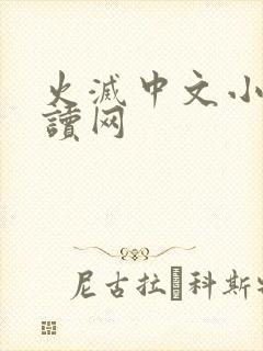 火灭中文小说阅读网