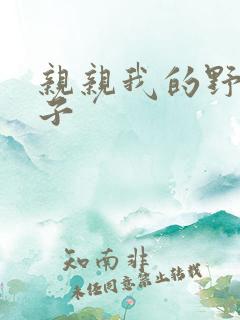 亲亲我的野猪王子