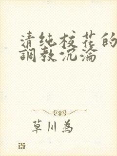 清纯校花的堕落调教沉沦