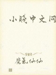 小贱中文网