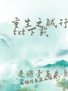 重生之贼行天下 txt下载