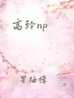 高干np