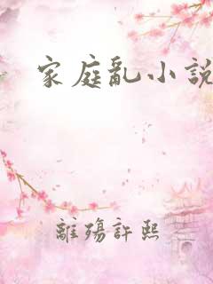 家庭乱小说