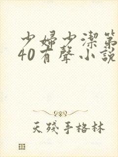 少妇少洁第1一40有声小说