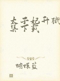 太子妃升职记全集下载