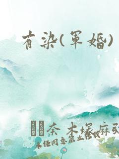 有染(军婚)