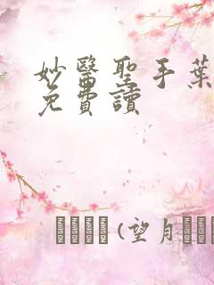 妙医圣手叶皓轩免费读