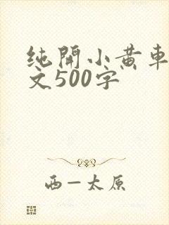 纯开小黄车小短文500字