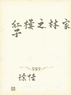 红楼之林家庶长子