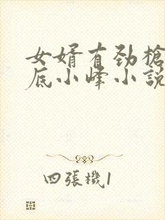 女婿有劲枪枪到底小峰小说