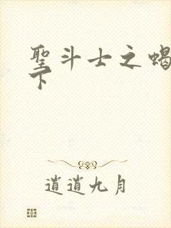 圣斗士之蝎行天下