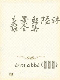 炎景熙陆沐擎小说全集