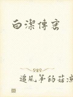 白洁传密