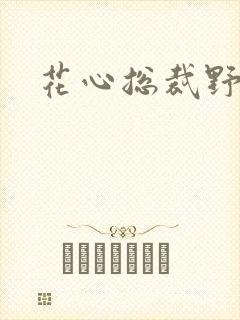 花心总裁野蛮妻