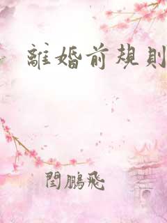 离婚前规则小说
