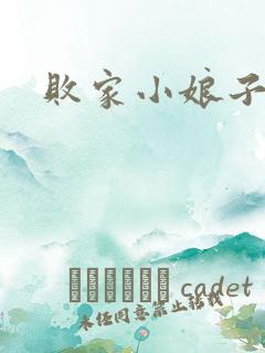 败家小娘子