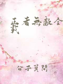 正者无敌全集下载