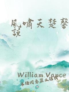 风啸天楚馨月小说