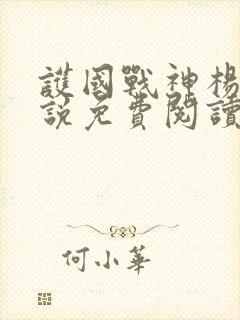 护国战神杨风小说免费阅读