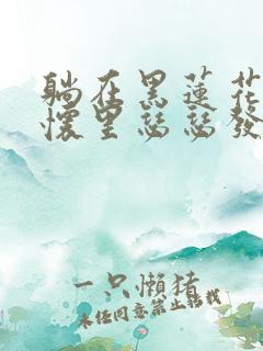 躺在黑莲花男配怀里瑟瑟发抖晋江